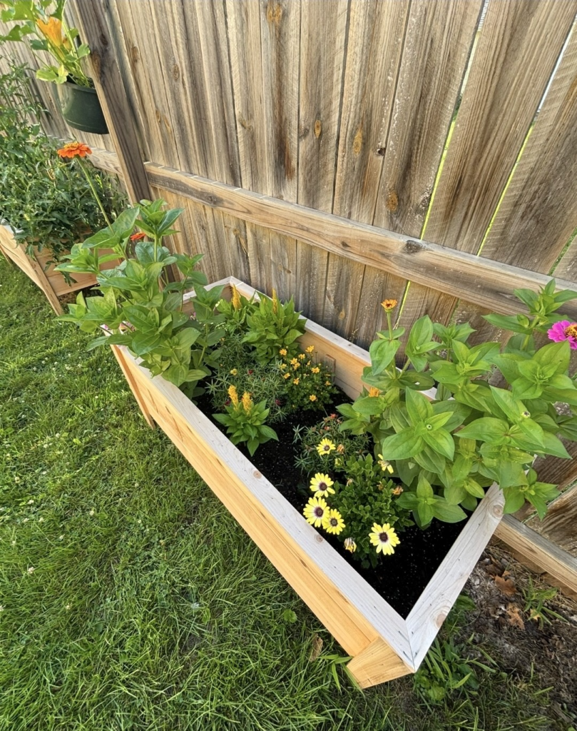 FaribaultOfficeInside12