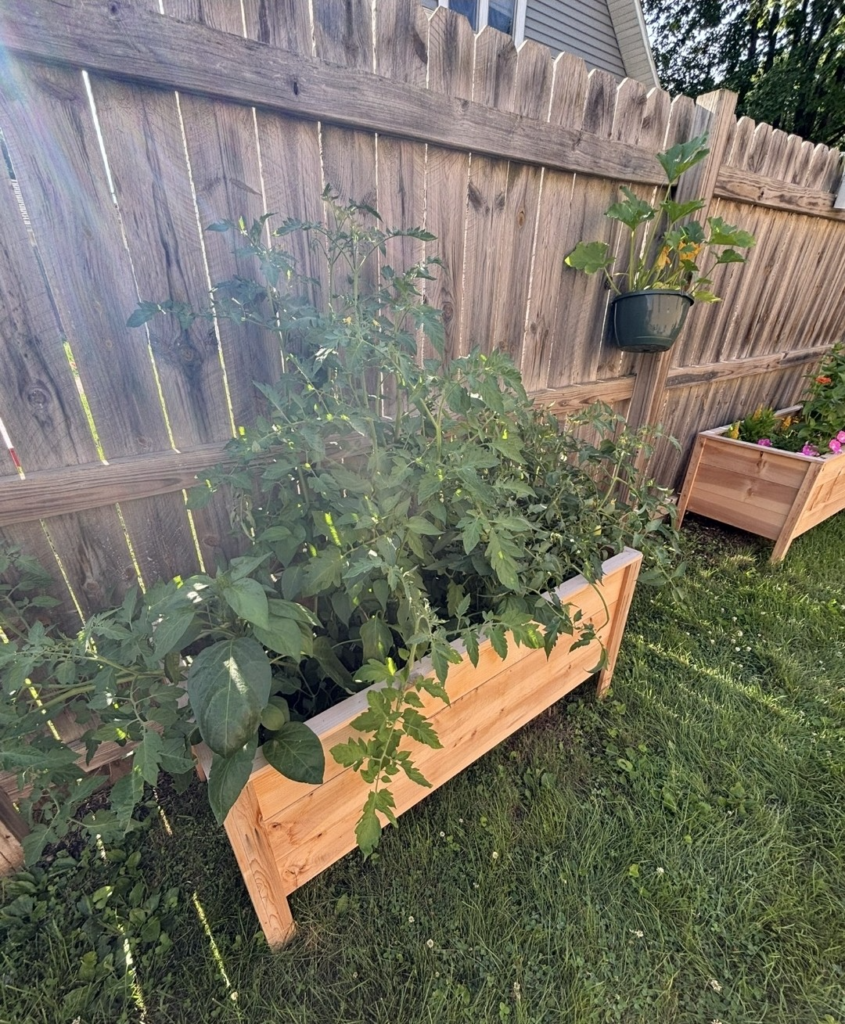 FaribaultOfficeInside13